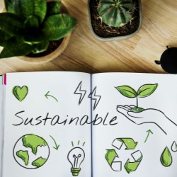 Understanding Sustainability. It starts with Eco Design